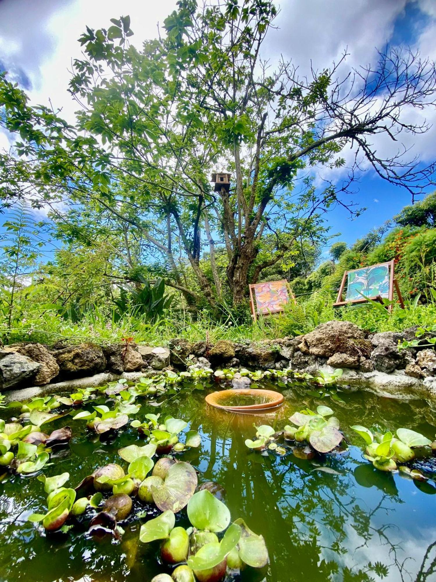 Casa Dos Castanheiros Angra Do Heroismo Terra Chã エクステリア 写真