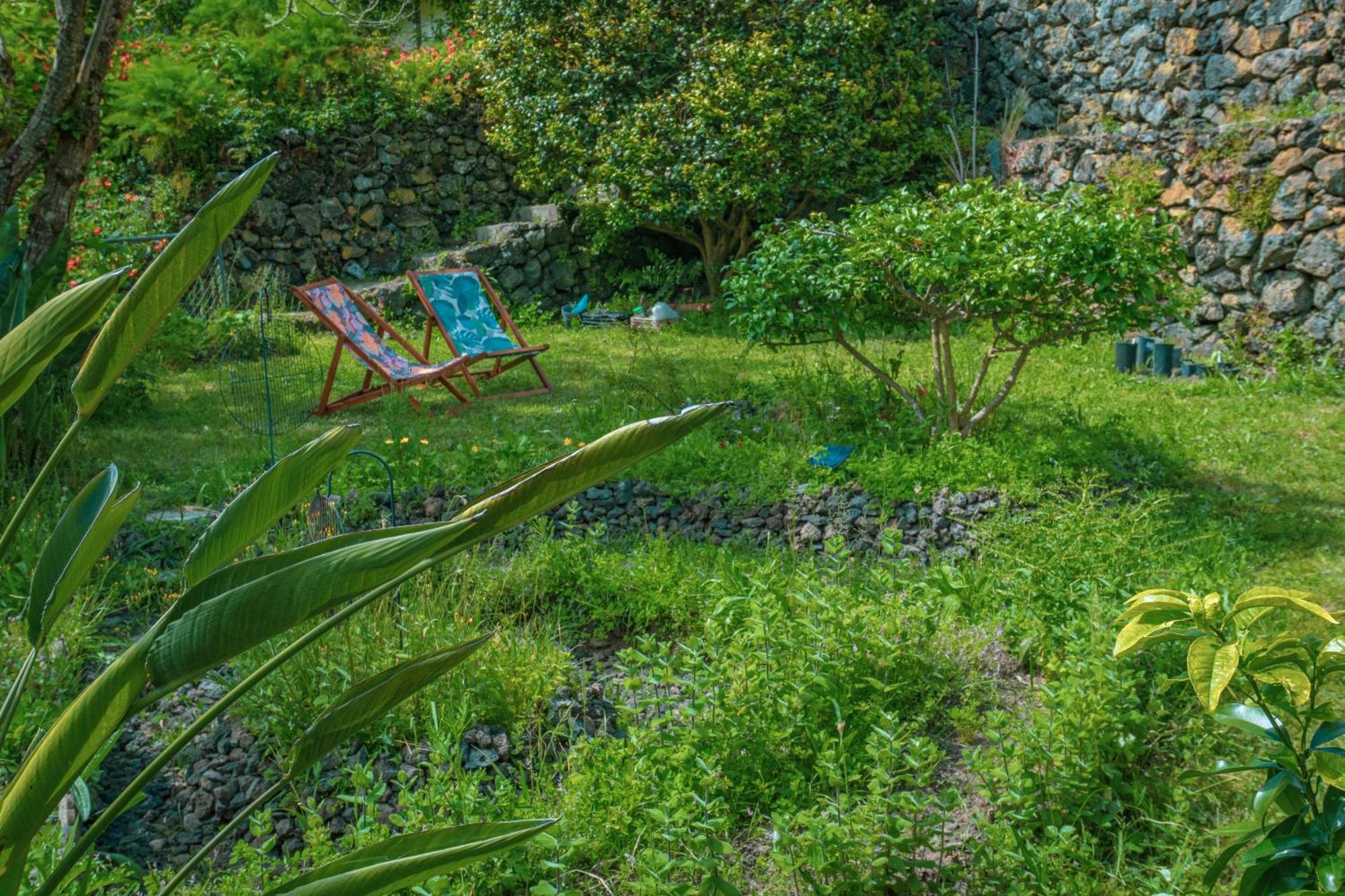 Casa Dos Castanheiros Angra Do Heroismo Terra Chã エクステリア 写真